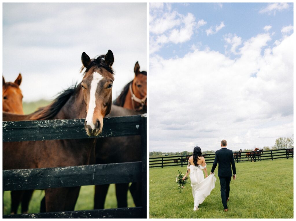 Mimarie farm lexington ky horse pasture with bride and groom 
