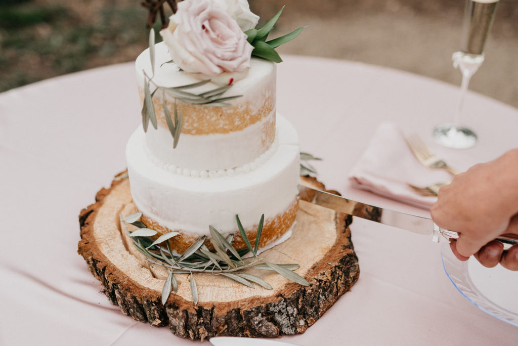 Colorado Wedding Cake