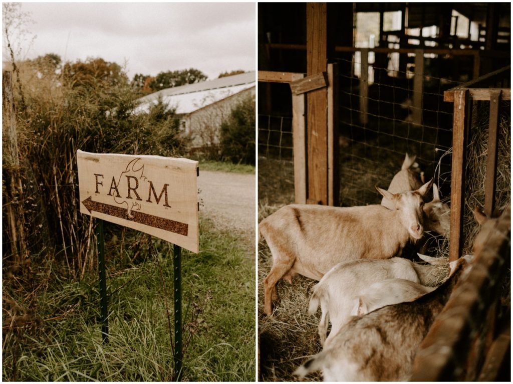 The farm sign on the wilds wedding venue property with goats eating hay in the barn on the grounds 