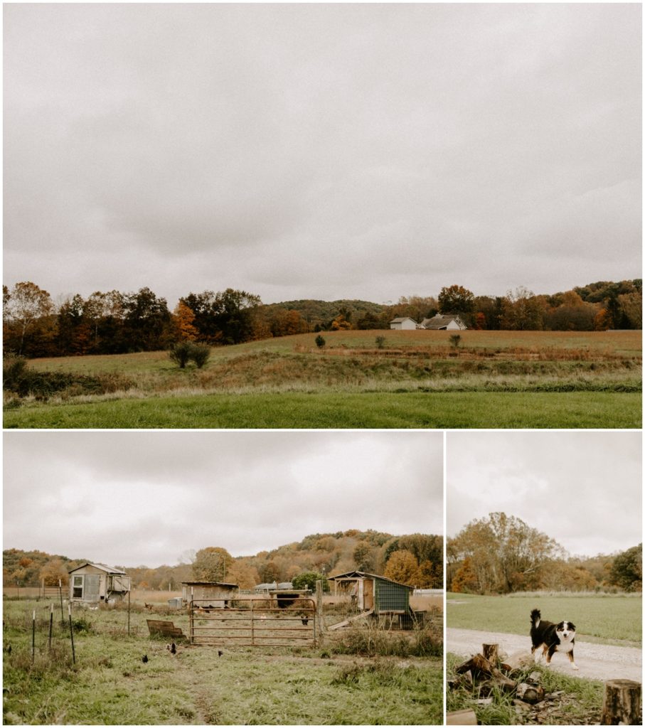 collage-of-property-photos-of-the-wilds-wedding-venue-with-rolling-hils-chicken-coops-dog-and-fall-colored-trees