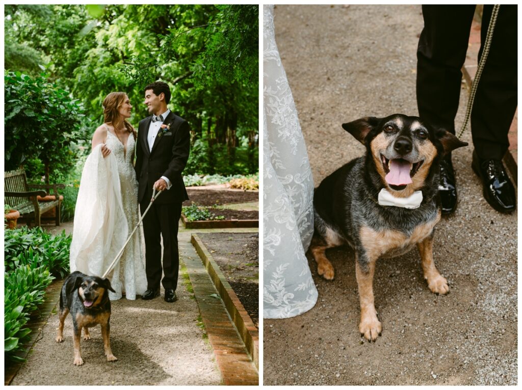 Bride and groom take wedding photos with their dog, doggy bow tie and all 